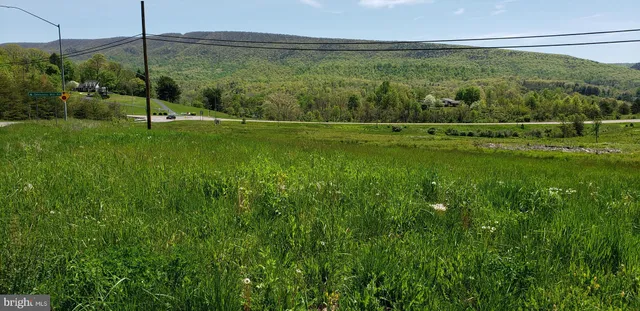 a view of a field with a big yard