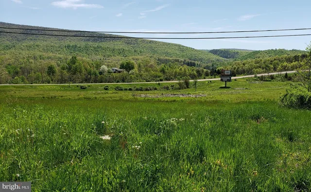 a view of a green field with clear sky