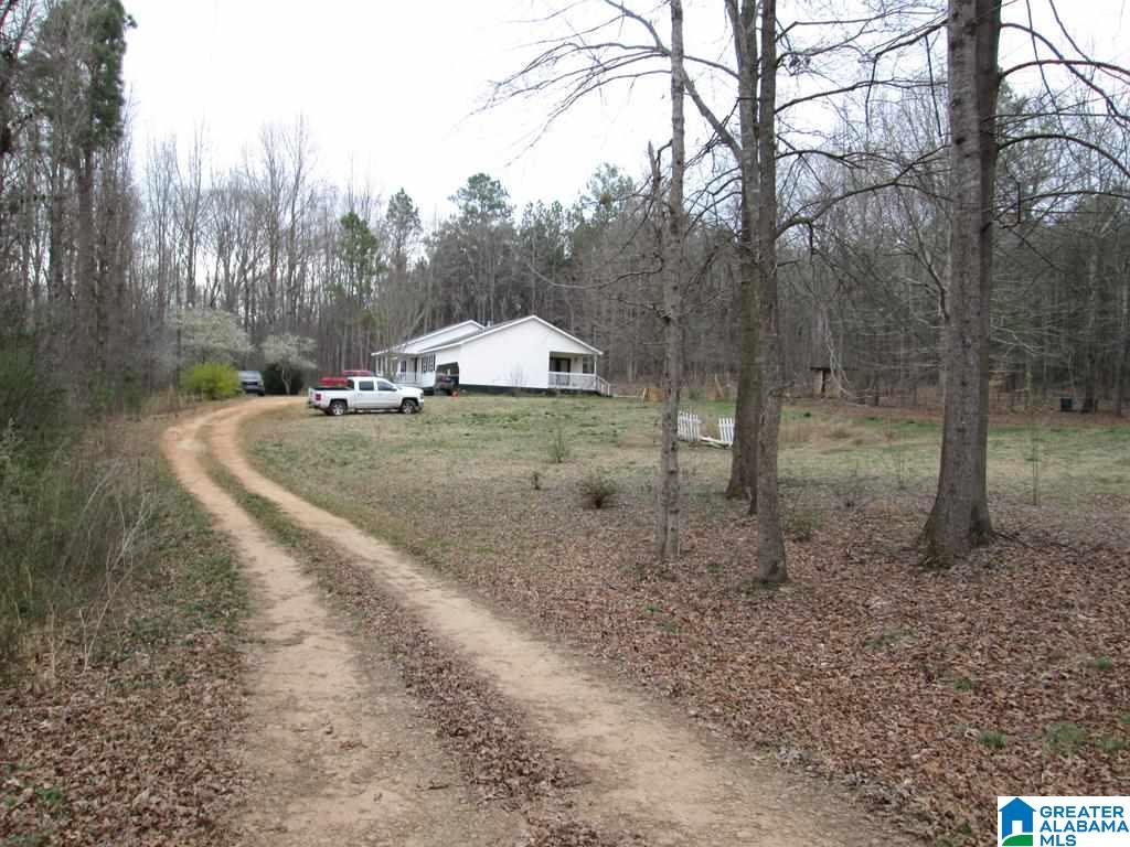92 County Road 647 Ranburne, AL 36273 - Photo 14 of 16
