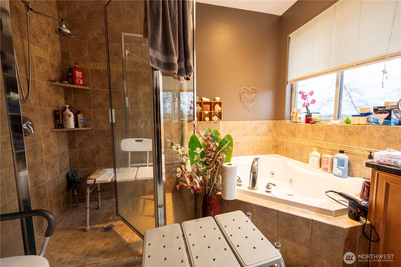 4173 Dover Street Bellingham, WA 98226 - Photo 20 of 40 a bathroom with a bathtub and a shower