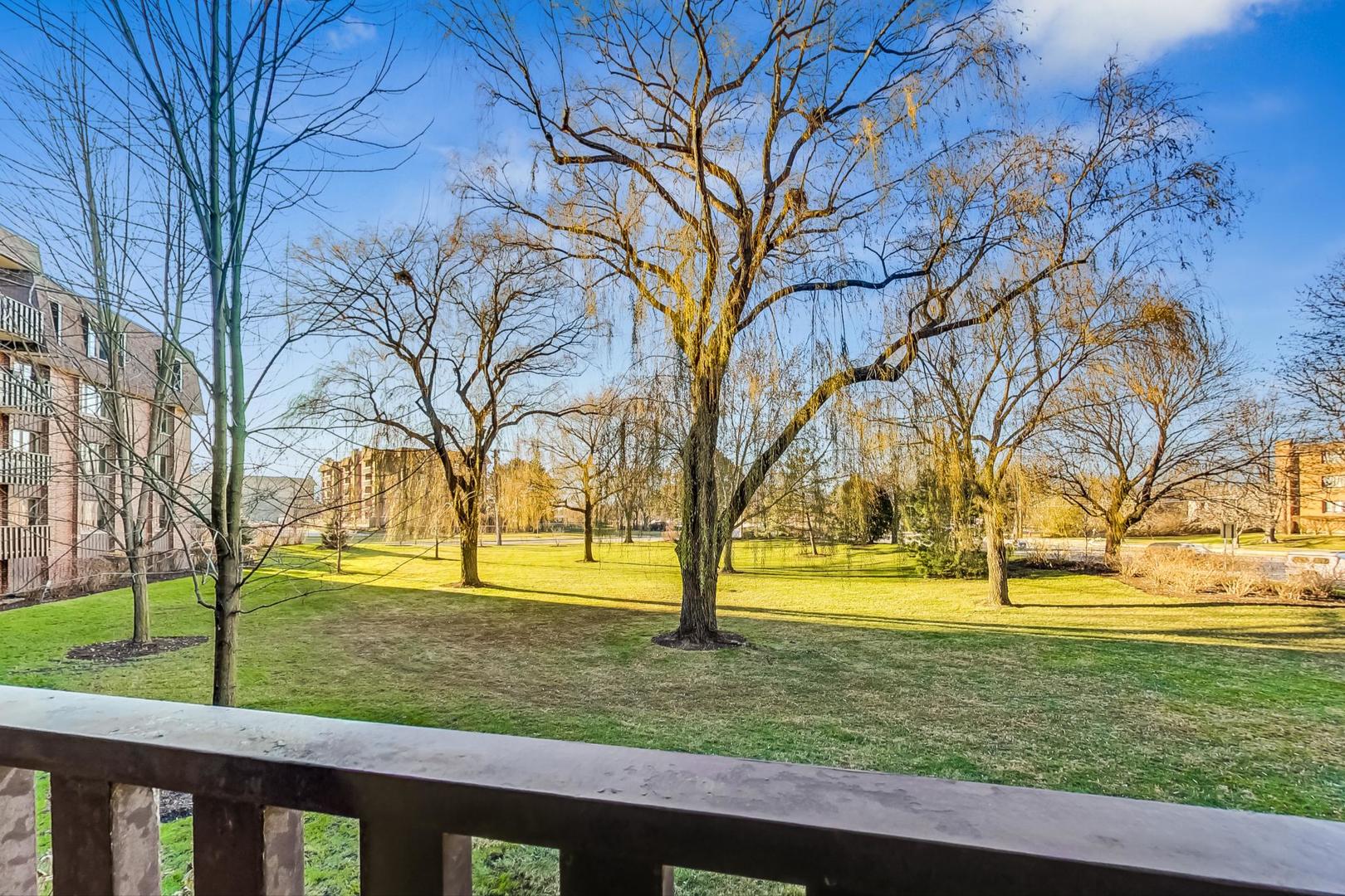 1175 Lake Cook Road, Unit 207 Northbrook, IL 60062 - Photo 24 of 28 a view of yard with trees