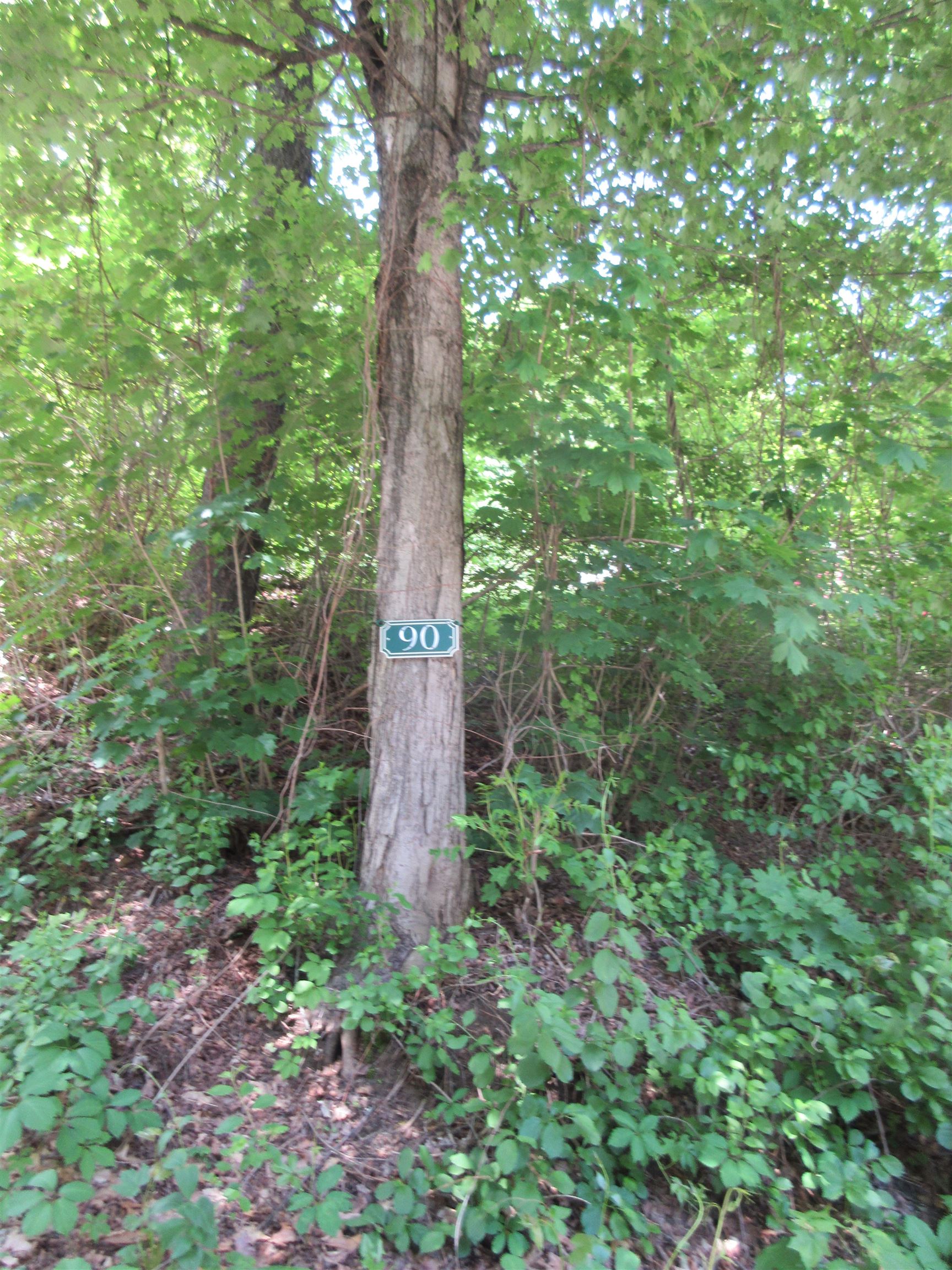 90 Wilsons Woods Road Brattleboro, VT 05301 - Photo 3 of 54