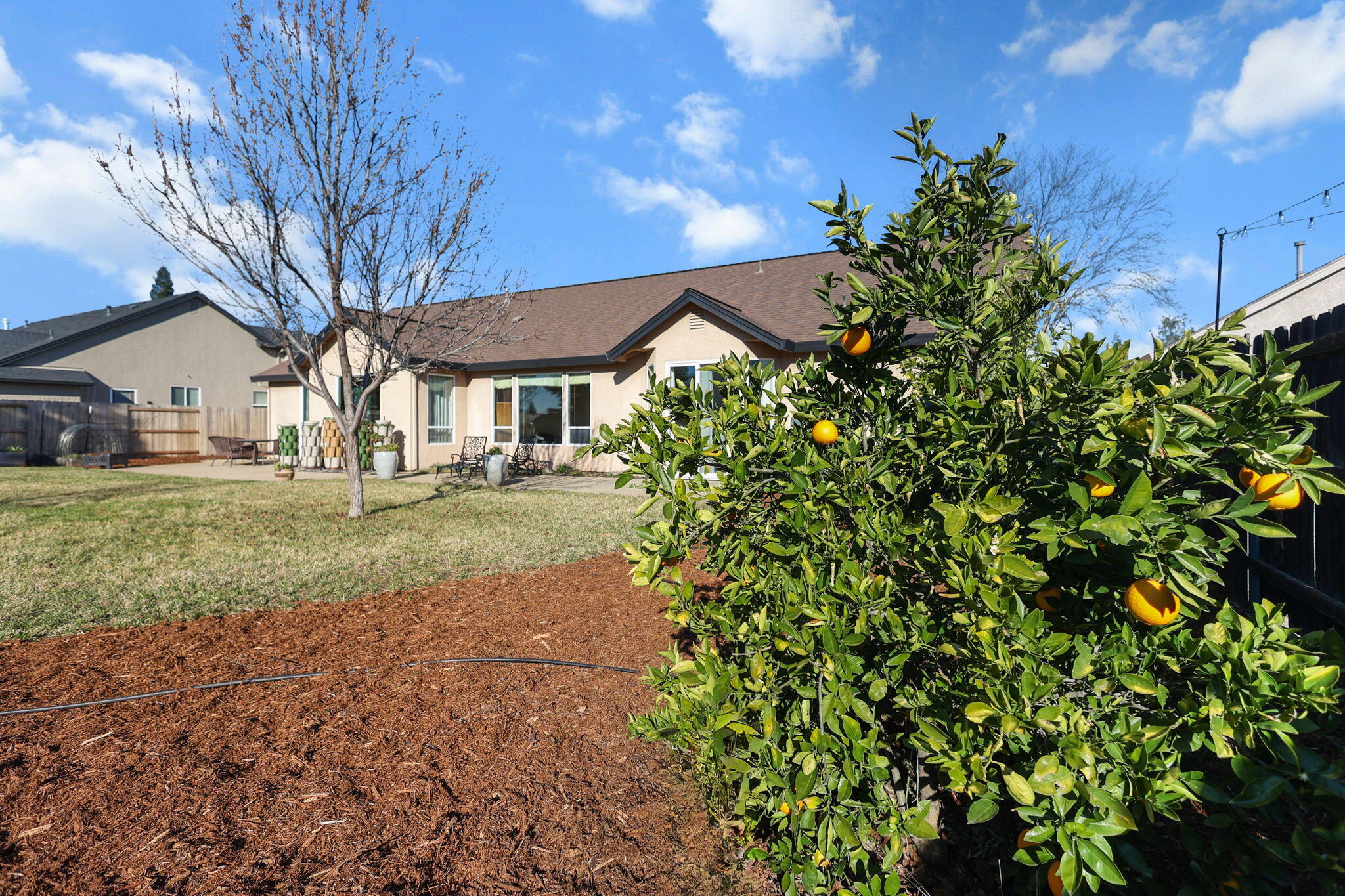 3183 Agassi Lane Redding, CA 96002 - Photo 27 of 32 Fruit Trees