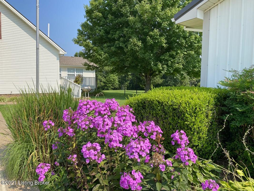 1266 Windy Ridge Road Caneyville, KY 42721 - Photo 61 of 64 1266 Windy Ridge Rd61
