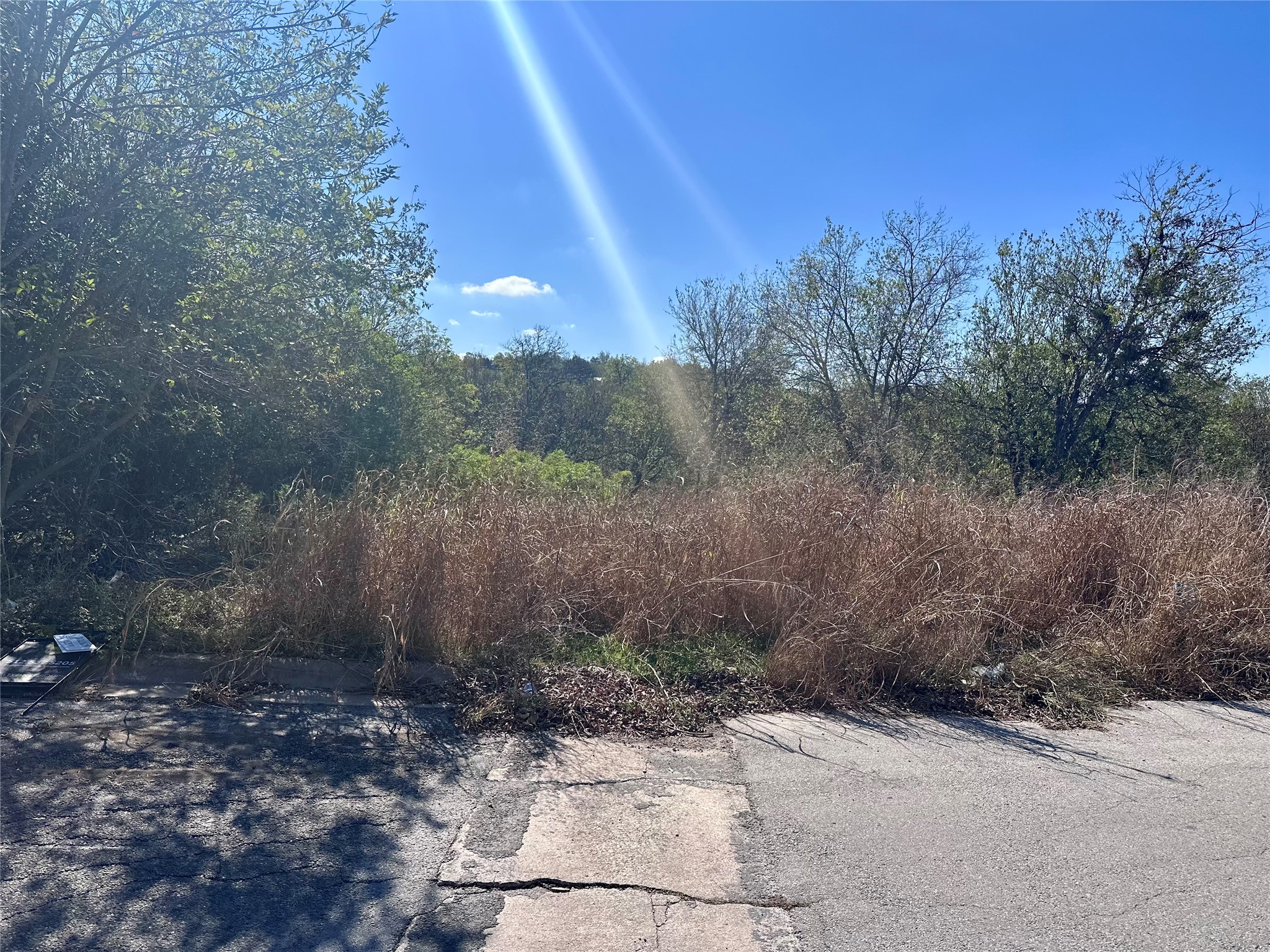 a view of a pathway with a yard