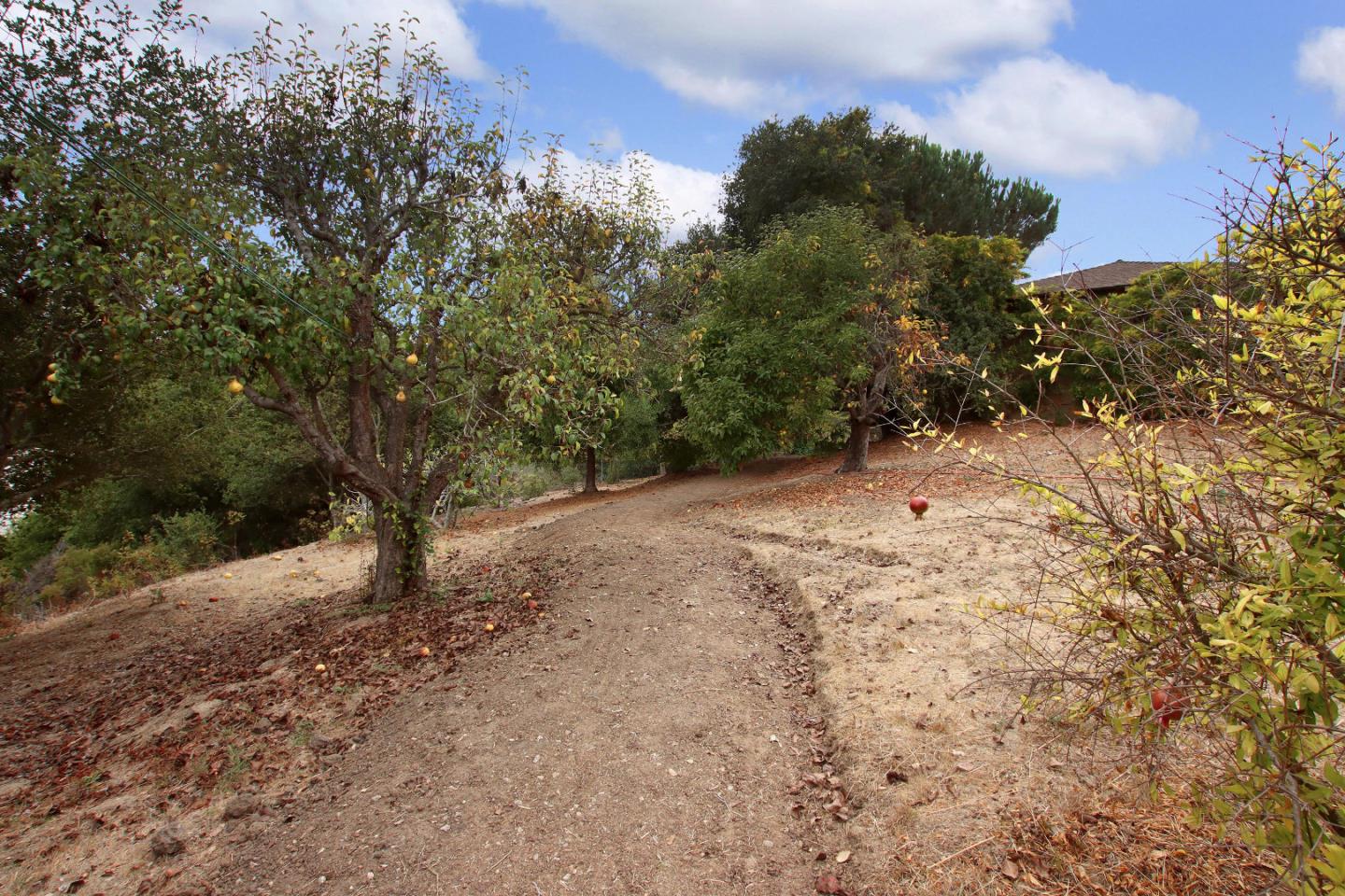 166 Amesti Road Watsonville, CA 95076 - Photo 39 of 47 Gallery Image 39