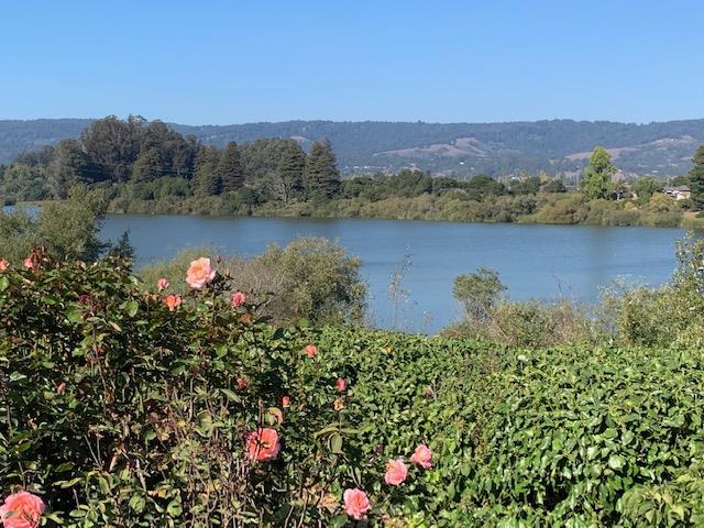 166 Amesti Road Watsonville, CA 95076 - Photo 7 of 47 Gallery Image 7