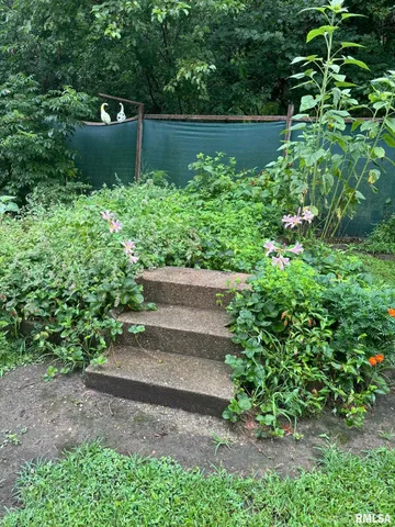 $60,000 | 315 West Furlong Street, Carrier Mills, IL 62917