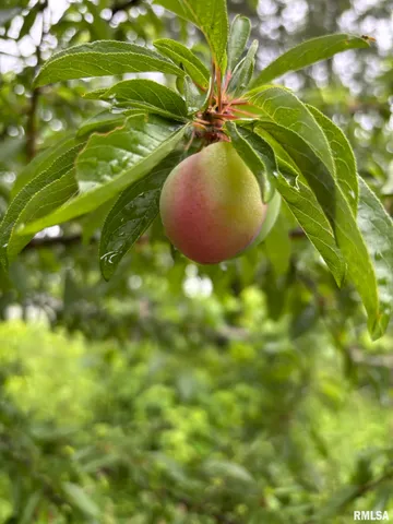 $60,000 | 315 West Furlong Street, Carrier Mills, IL 62917