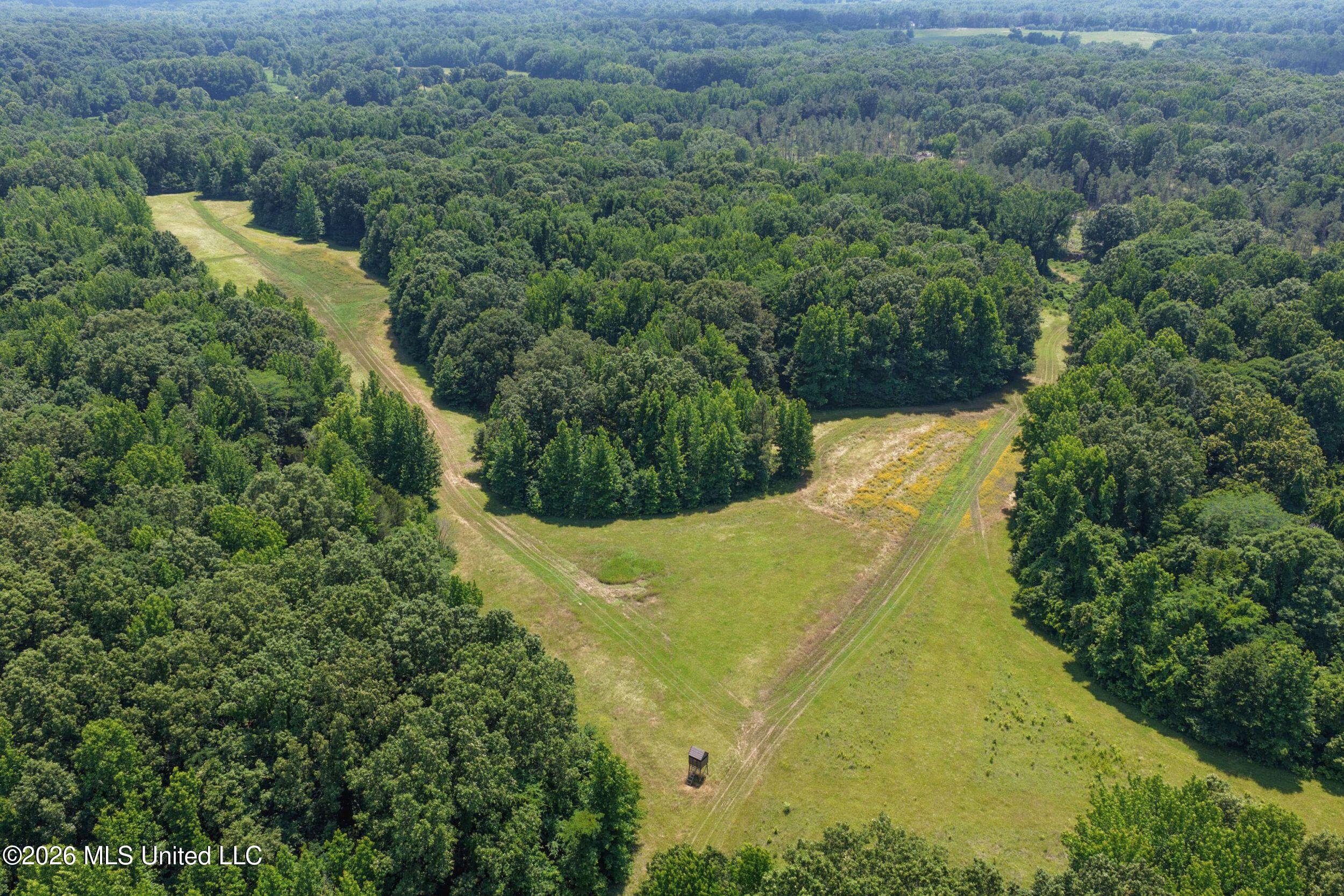 884 Avant Road Crenshaw, MS 38621 - Photo 46 of 154 4dbyicr45