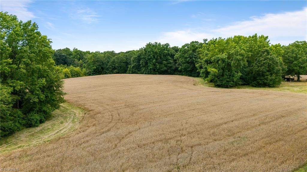 4616 South Holden Road Greensboro, NC 27406 - Photo 3 of 15