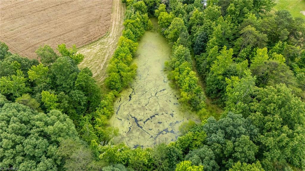 4616 South Holden Road Greensboro, NC 27406 - Photo 9 of 15