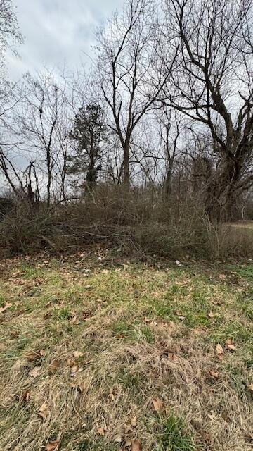 418 Berry Street Jackson, TN 38301 - Photo 4 of 5
