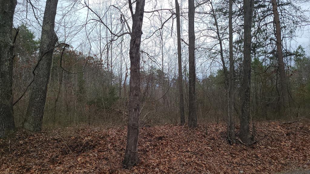 4 Abilene Road, Unit 4 Keysville, VA 23947 - Photo 1 of 2 Gallery Image 1