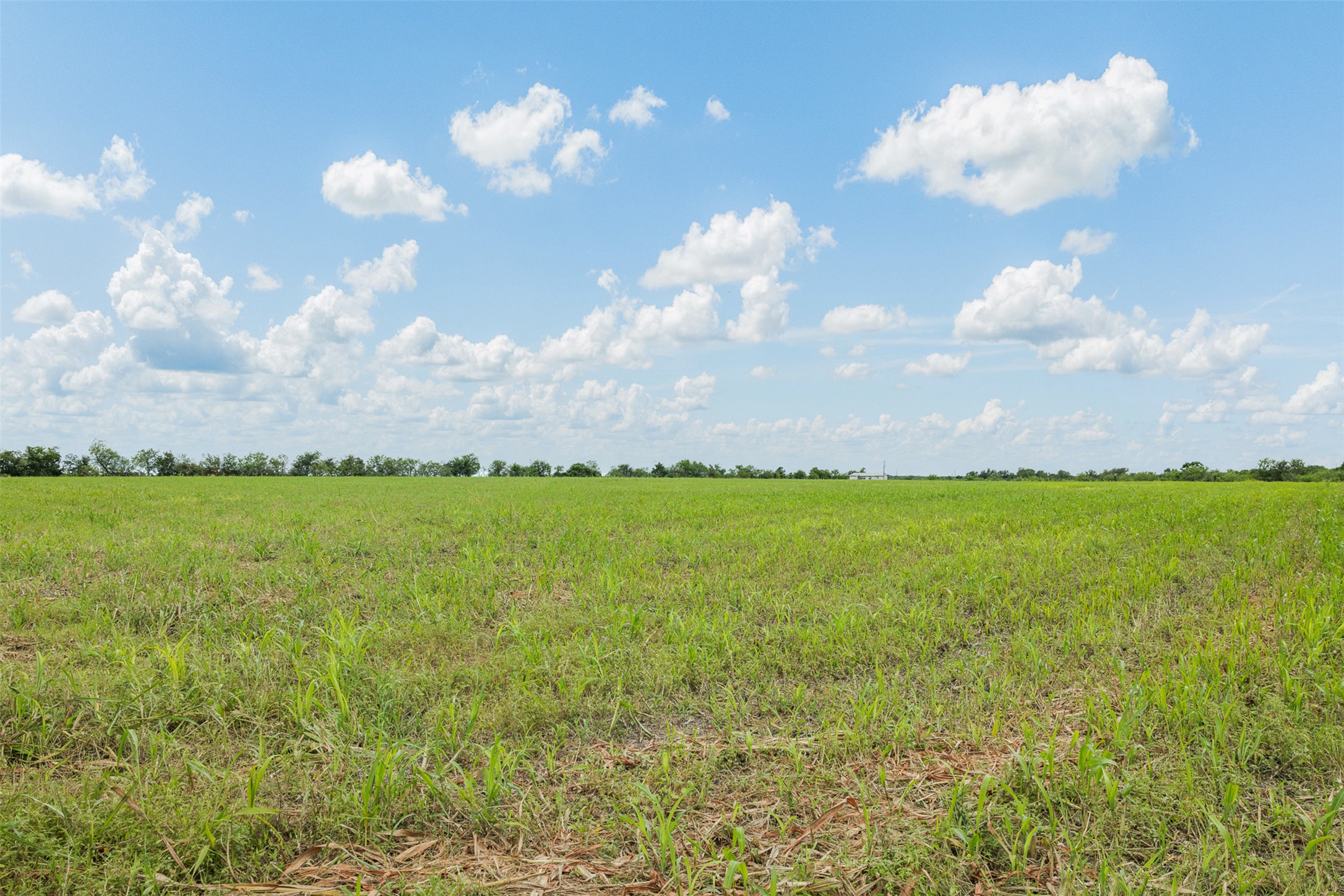 21814 Hogeye Road Manor, TX 78653 - Photo 6 of 37