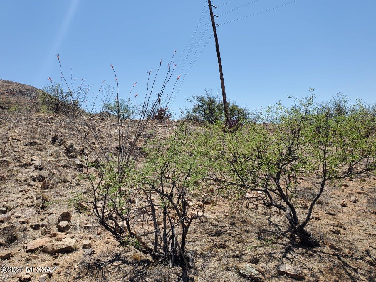 1695 Vía San Cayetano, Unit 7 Rio Rico, AZ 85648 - Photo 22 of 36