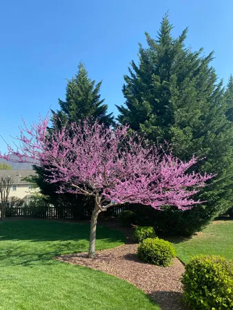 $579,000 | 6210 Crumpacker Drive, Roanoke, VA 24012