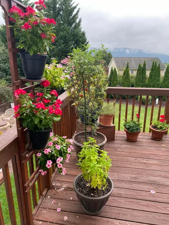 $579,000 | 6210 Crumpacker Drive, Roanoke, VA 24012