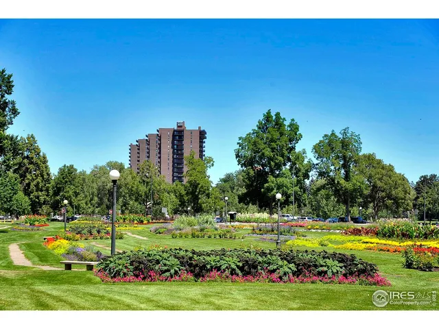 a view of a large garden with plants