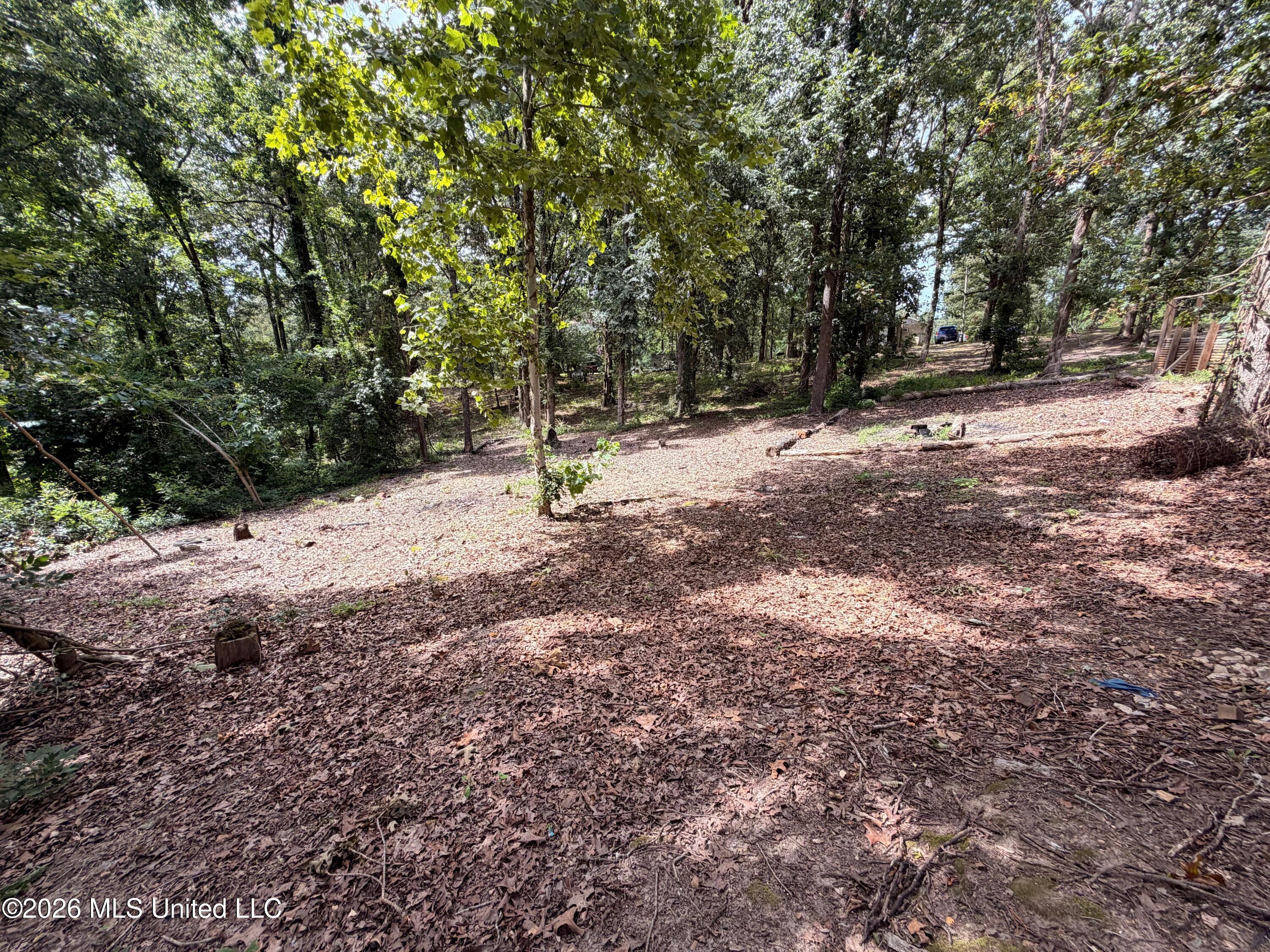 201 Ridgewood Water Valley, MS 38965 - Photo 26 of 30 IMG_4349