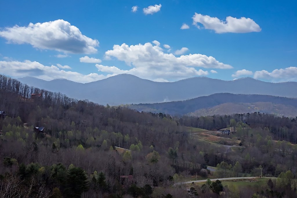 200 Honey Hill Road Morganton, GA 30560 - Photo 22 of 52