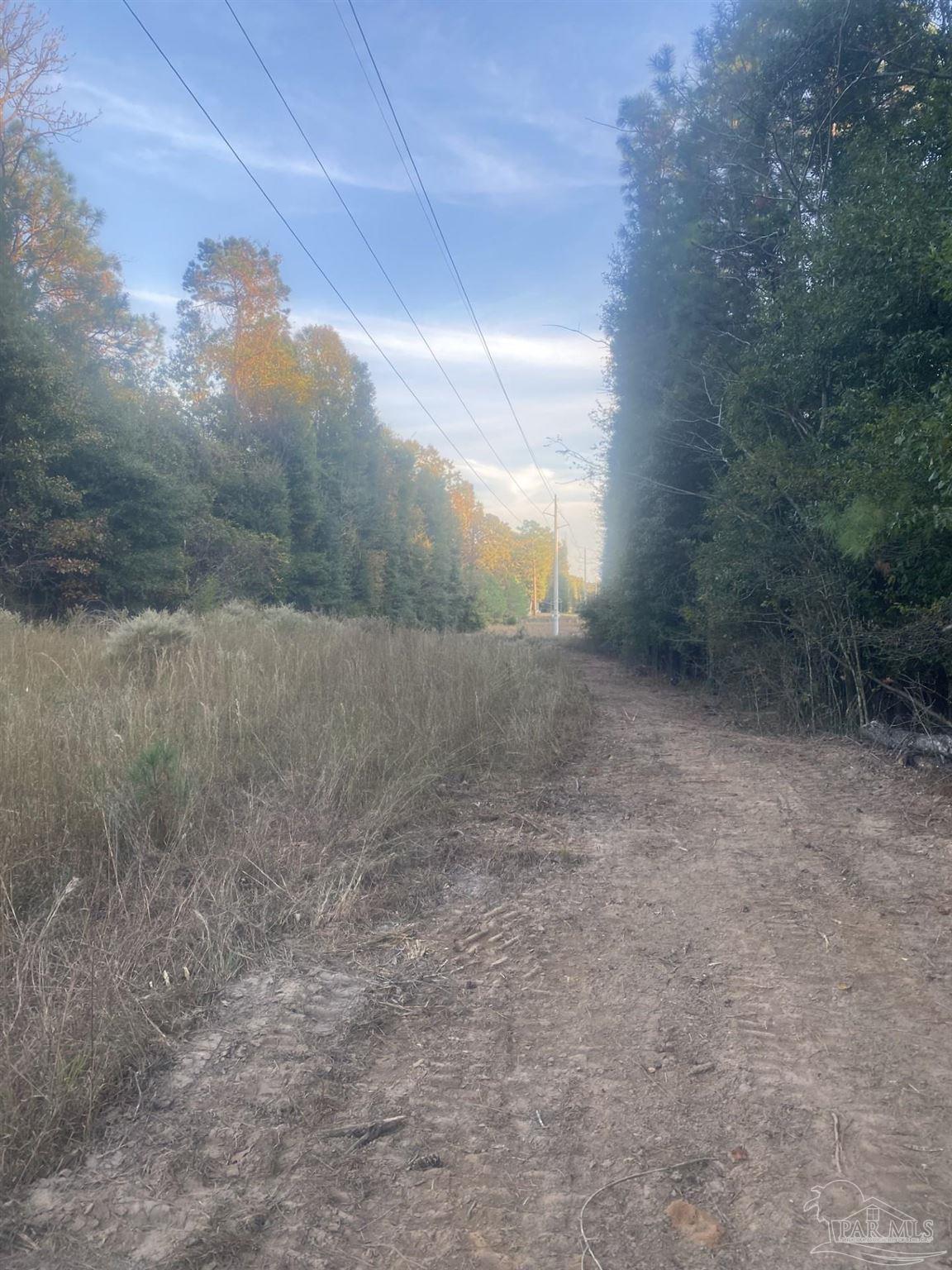 4 Jay Jay, FL 32565 - Photo 6 of 9 a view of a big yard