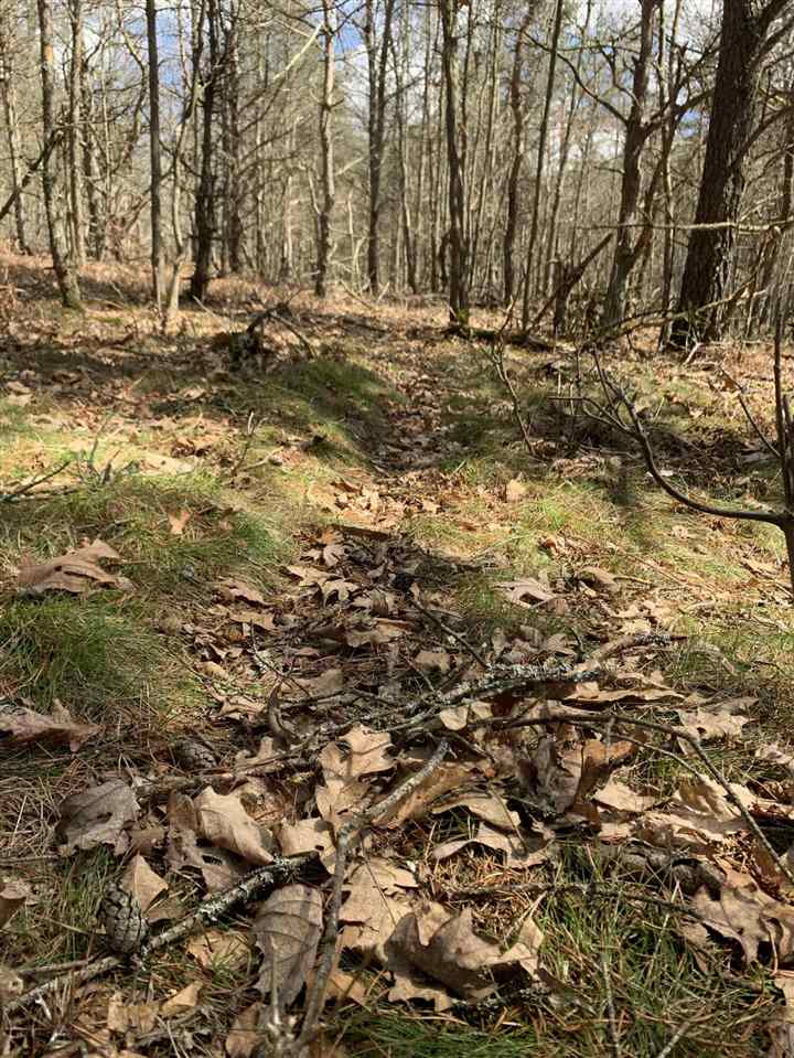 10 East 14 Mile Road Paris, MI 49338 - Photo 12 of 12