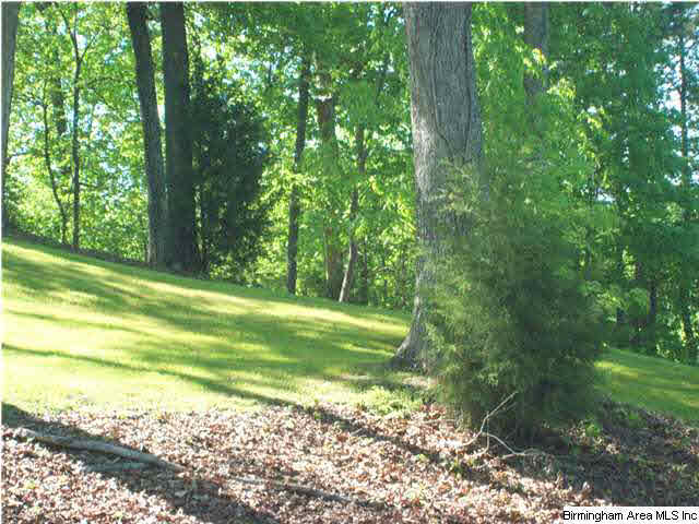 191 Spring Trail Warrior, AL 35180 - Photo 27 of 32