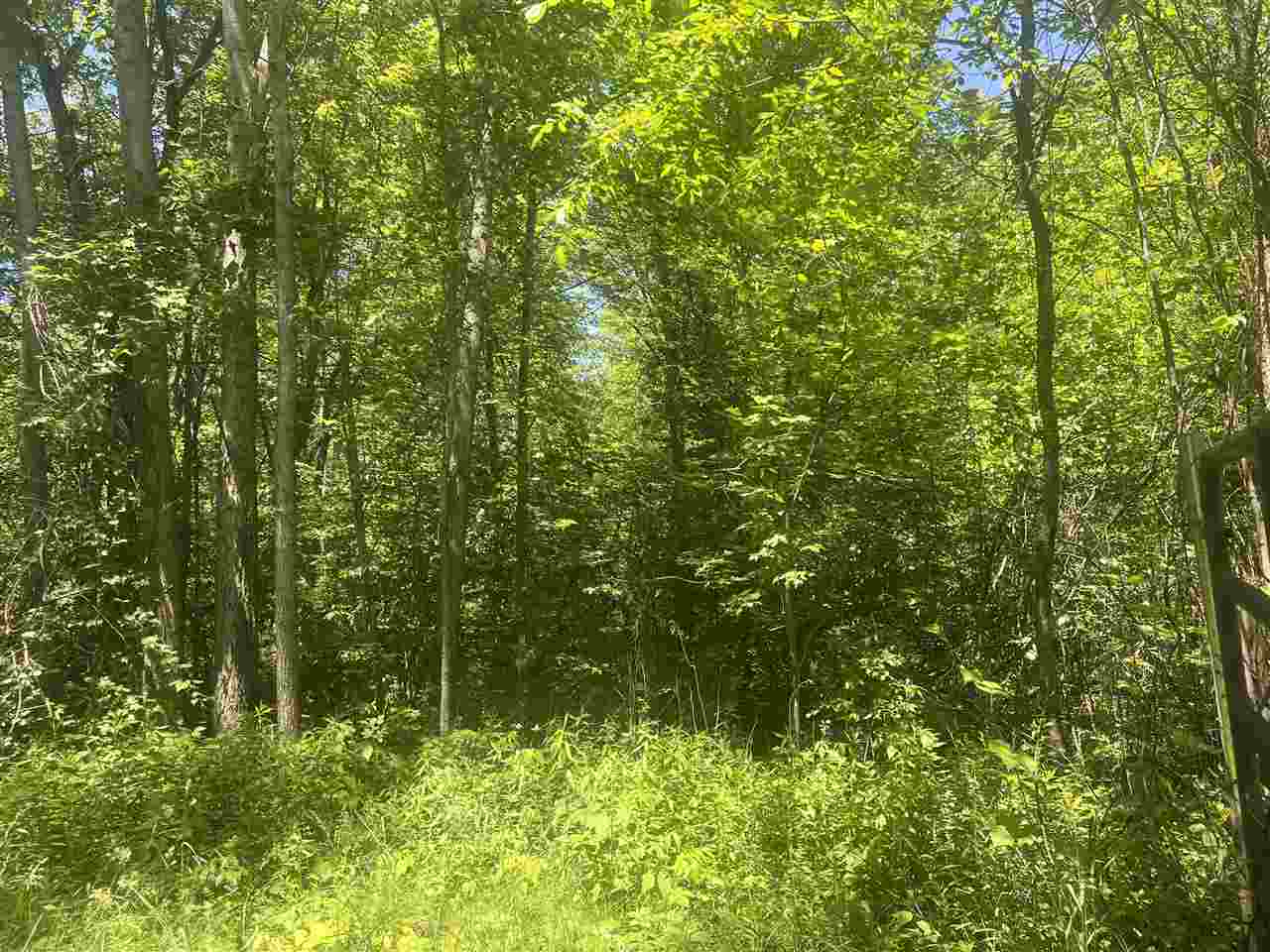 20-acres Roehrs Beaverton, MI 48612 - Photo 14 of 18 Gallery Image 14