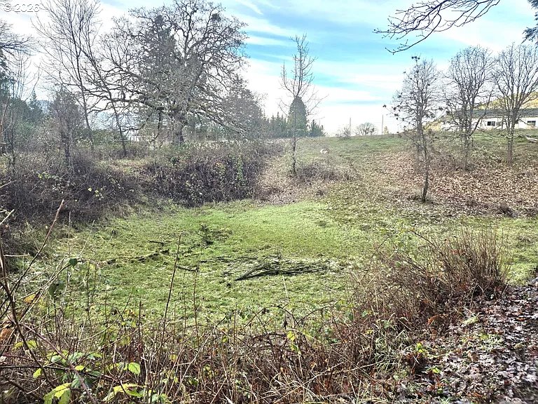 1065 Panther Gulch Road Williams, OR 97544 - Photo 14 of 14