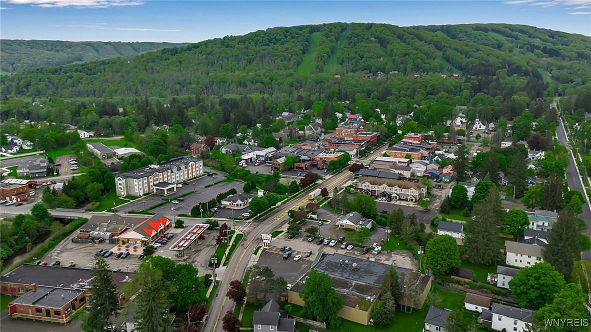 Vl Maples Road Little Valley, NY 14755 - Photo 12 of 12