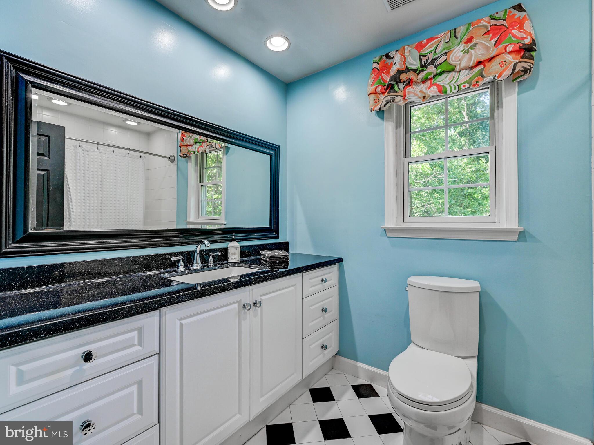 265 Hunters Ridge Road Lutherville-Timonium, MD 21093 - Photo 24 of 42 a bathroom with a toilet a sink a mirror a window and vanity