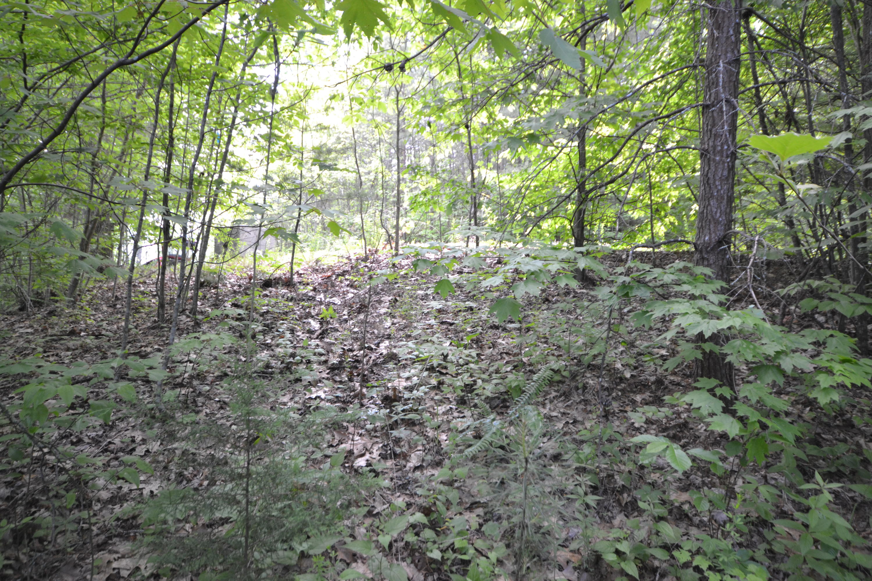 Lot 66 Riversong Way Sevierville, TN 37876 - Photo 4 of 11 Lot 66 - 3
