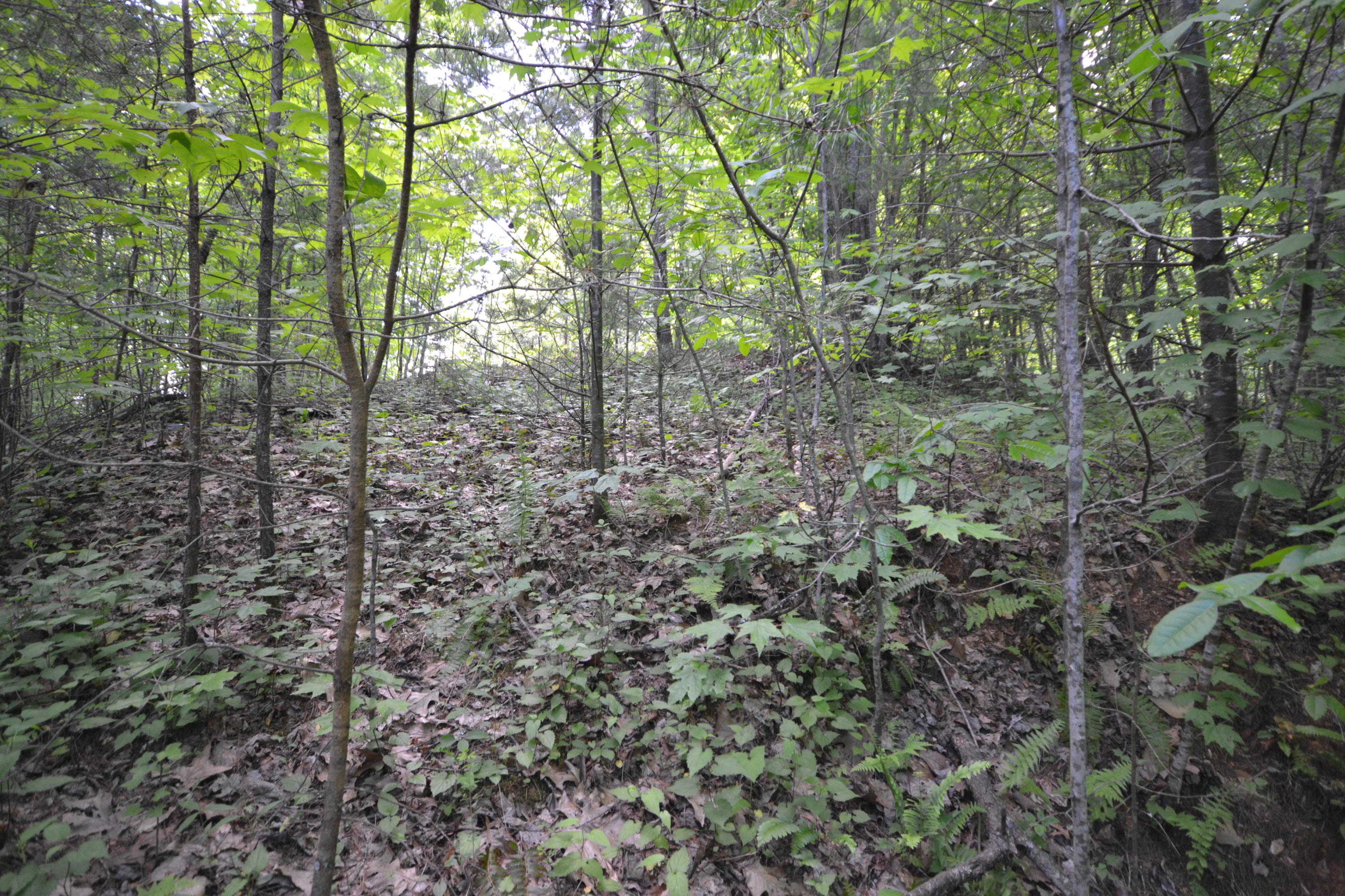 Lot 66 Riversong Way Sevierville, TN 37876 - Photo 5 of 11 Lot 66 - 4