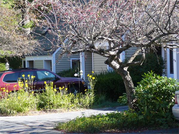 35 Hazen Road, Unit F5 Shirley, MA 01464 - Photo 1 of 1 Gallery Image 1
