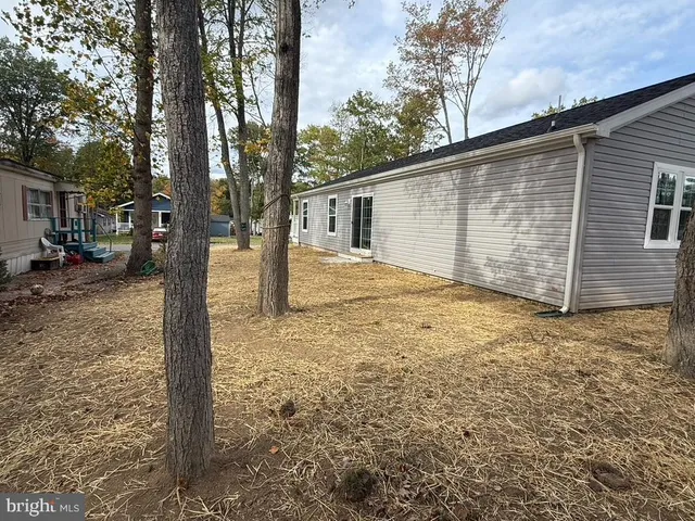 a view of a backyard with large tree