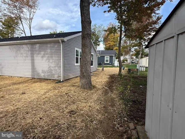 a view of a backyard with a tree