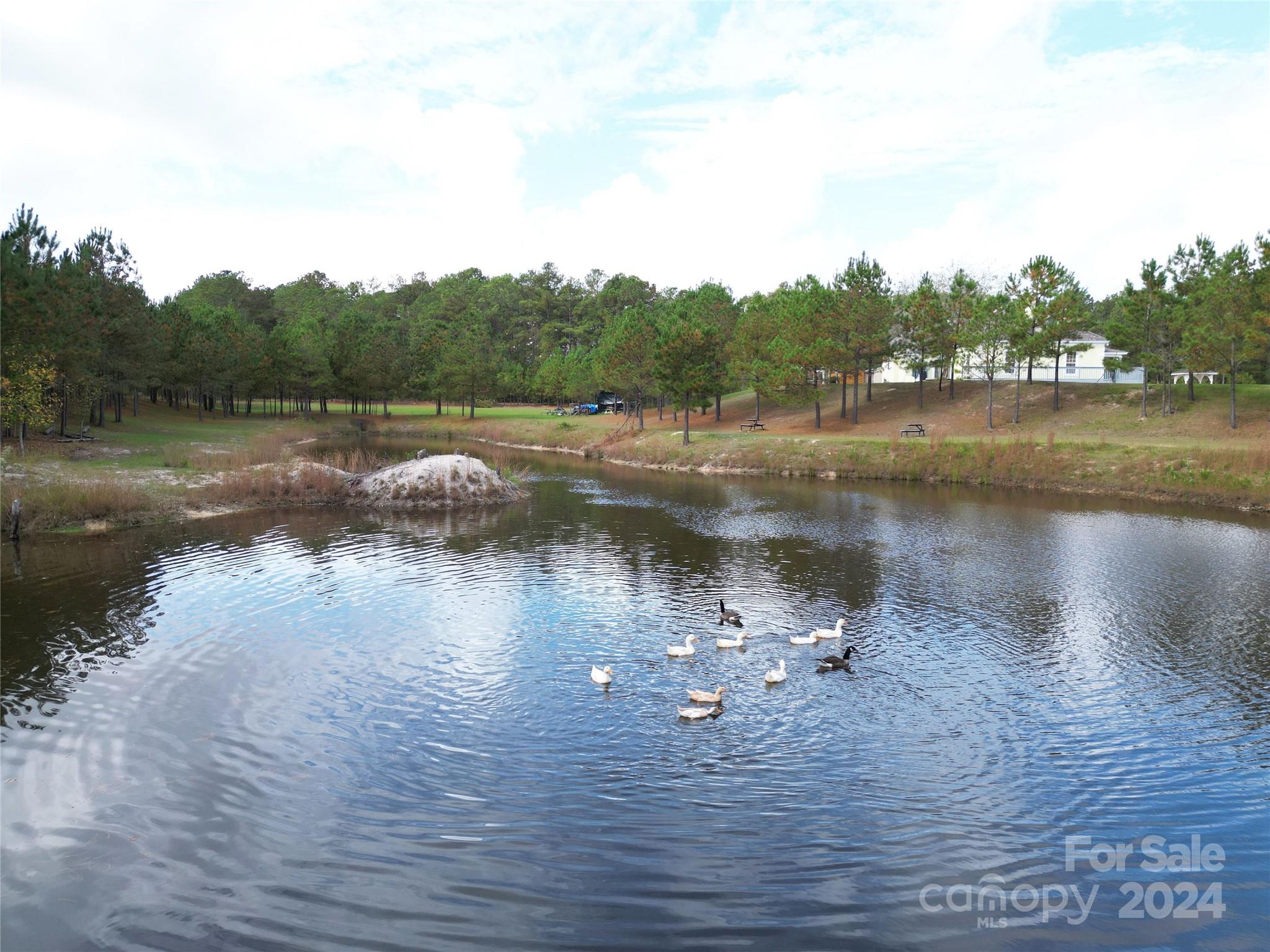 2034 Haileys Ferry Road Lilesville, NC 28091 - Photo 16 of 48