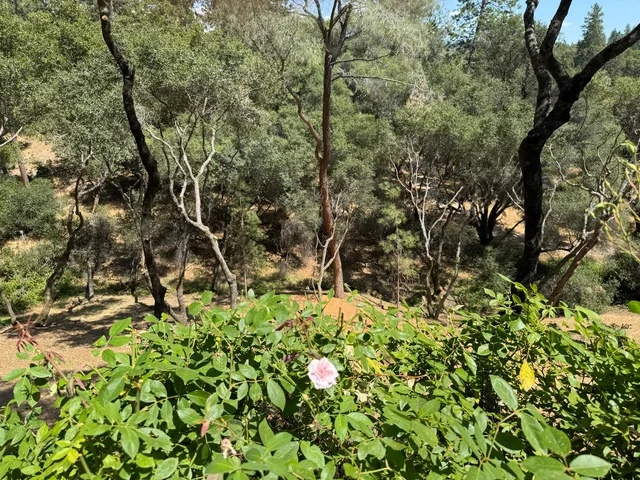 $1,885,000 | 1461 Lodge View Drive, Meadow Vista, CA 95722