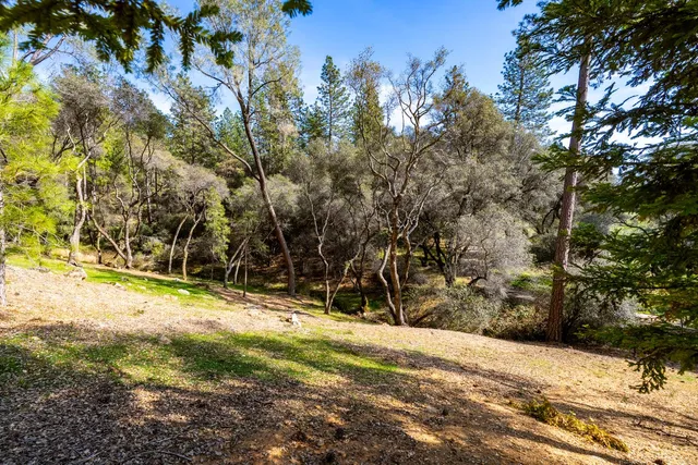 $1,885,000 | 1461 Lodge View Drive, Meadow Vista, CA 95722