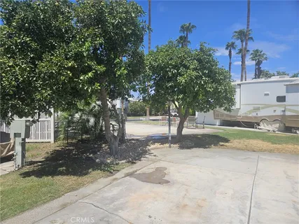 a view of a yard with plants and trees
