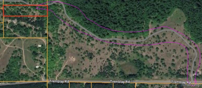 V/l Tremblay Road Mancelona, MI 49659 - Photo 3 of 3