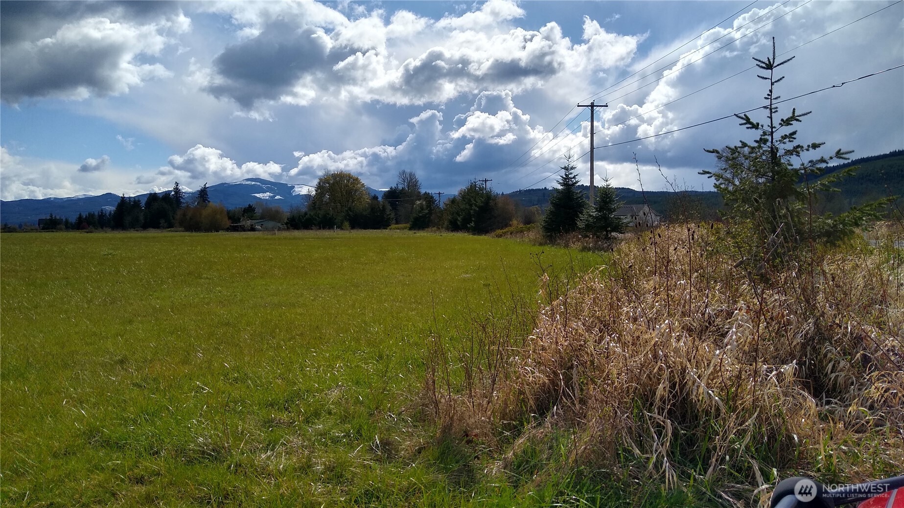 581 Boistfort Road Curtis, WA 98538 - Photo 19 of 24 Gallery Image 19