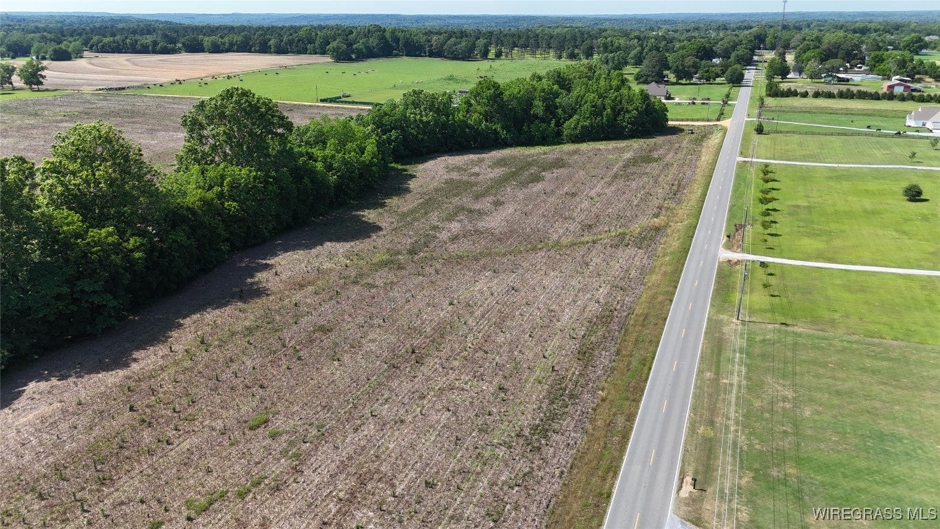 3799 Hogan Road Deatsville, AL 36022 - Photo 3 of 17 Gallery Image 3