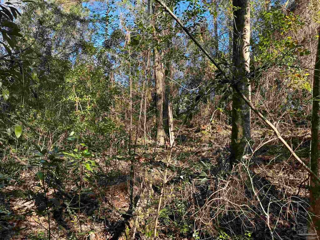 $25,000 | 1046 Fleming Drive, Pensacola, FL 32514