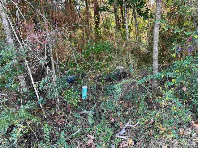 $25,000 | 1046 Fleming Drive, Pensacola, FL 32514