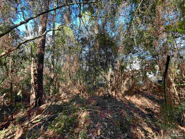 $25,000 | 1046 Fleming Drive, Pensacola, FL 32514