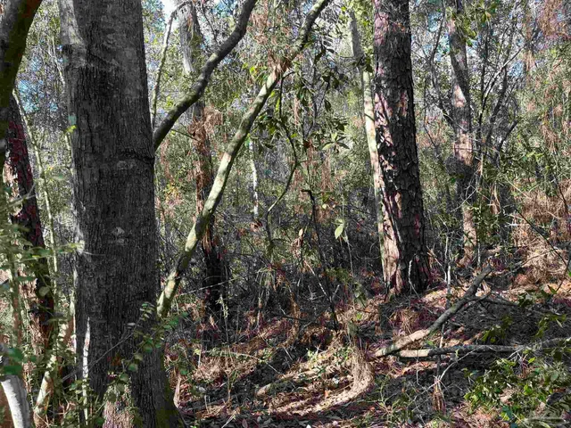 $25,000 | 1046 Fleming Drive, Pensacola, FL 32514