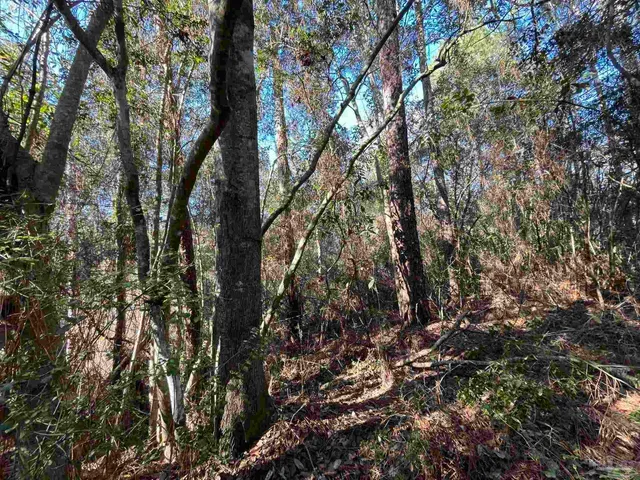 $25,000 | 1046 Fleming Drive, Pensacola, FL 32514