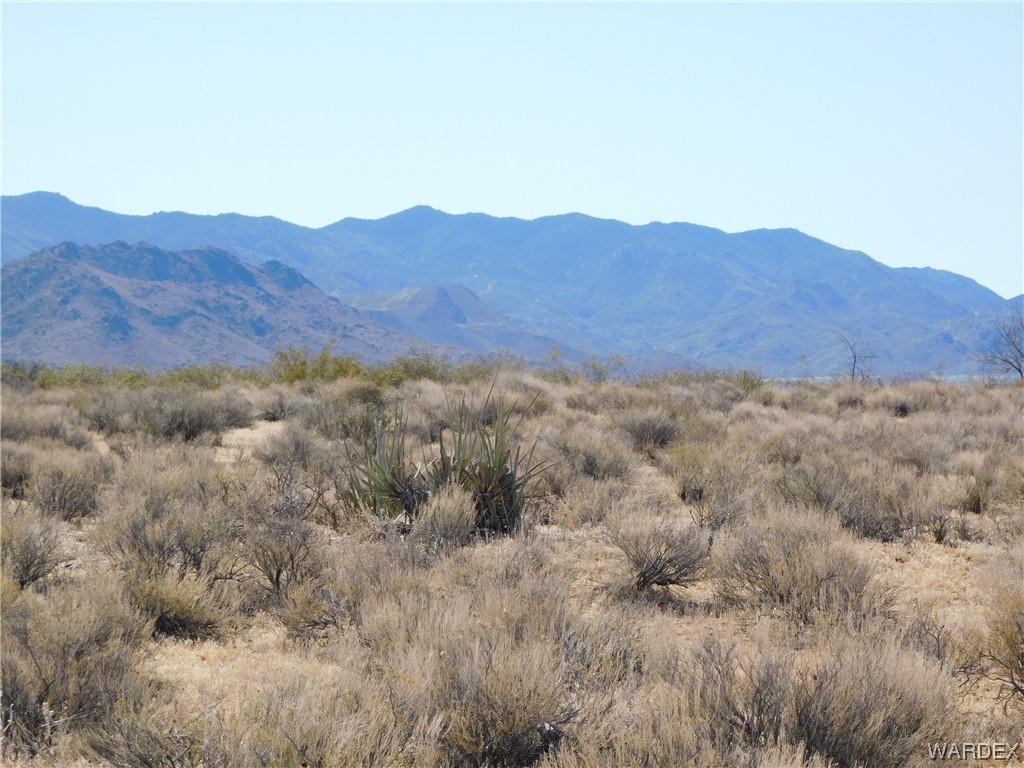 0 North Colorado Drive Golden Valley, AZ 86413 - Photo 13 of 13